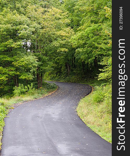 Lonely curved road with foliage