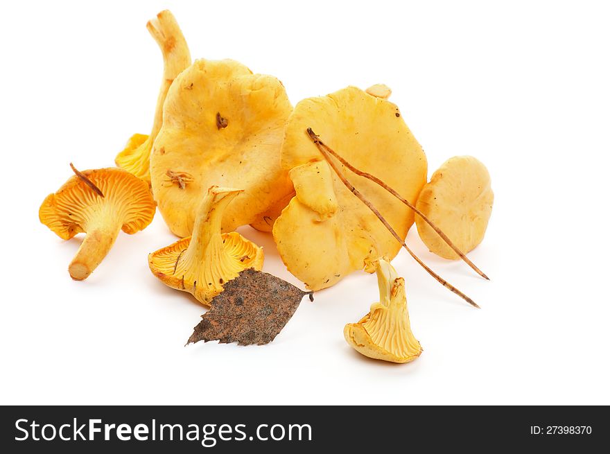 Heap of Raw Chanterelles with Dry Leafs on white background