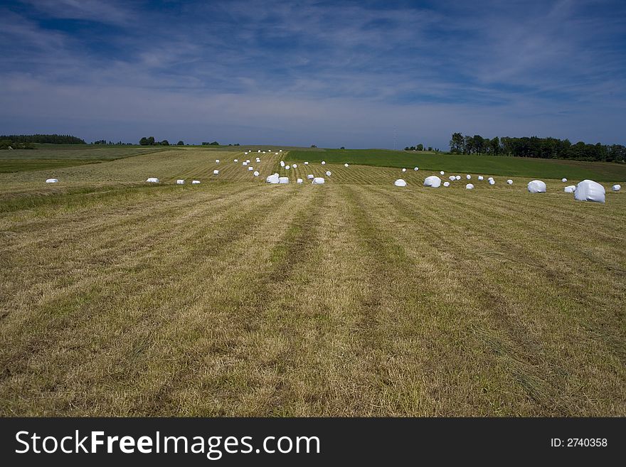 Landscape whit blue sky  and green hill in Poland. Landscape whit blue sky  and green hill in Poland