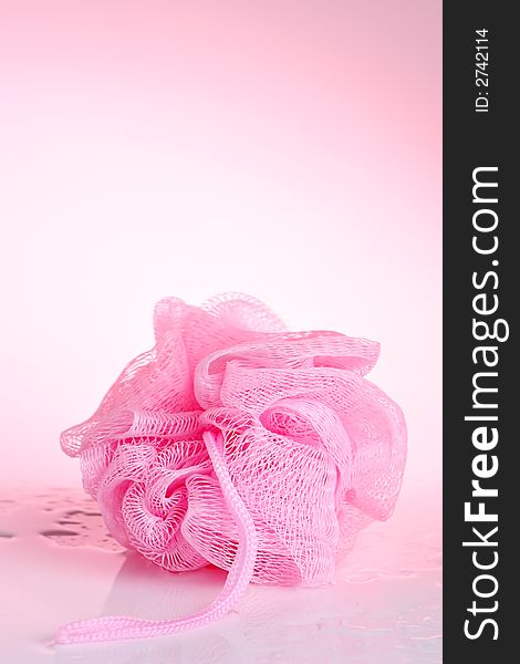 Wet pink sponge on pink background