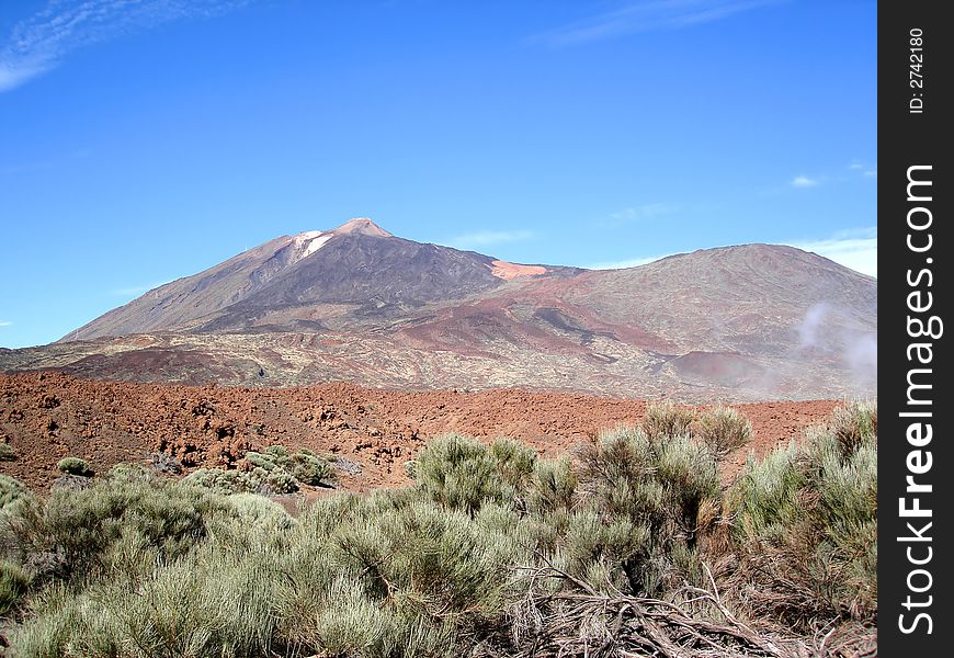 The volcano in the canary island. The volcano in the canary island