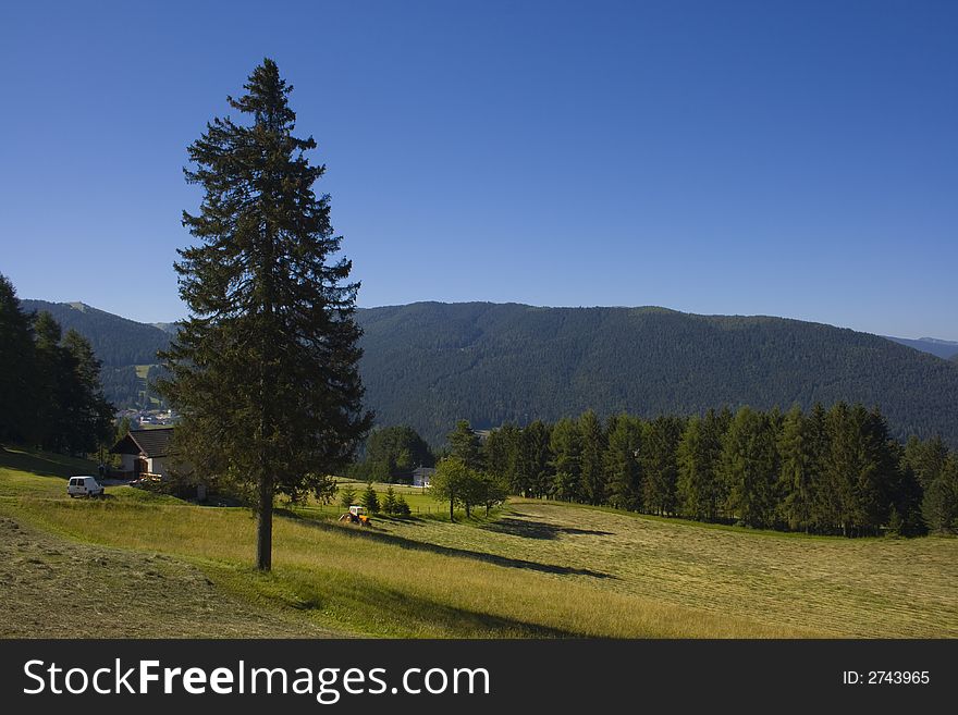 Beautiful rural alpine landscape with a tree