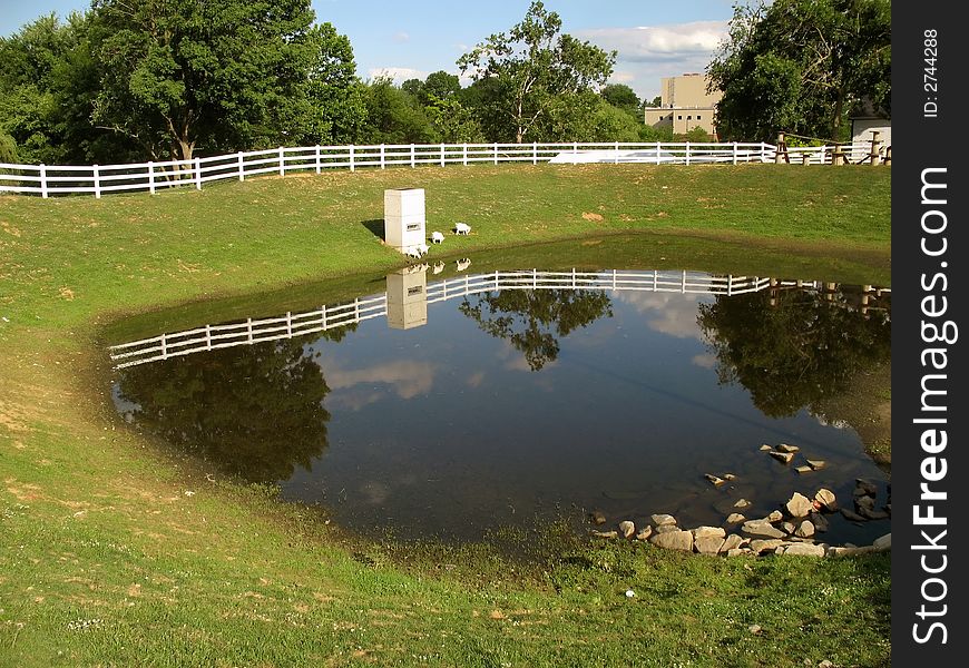Photo of pond on an Amish Lancaster Pennsylvania farm. Photo of pond on an Amish Lancaster Pennsylvania farm.