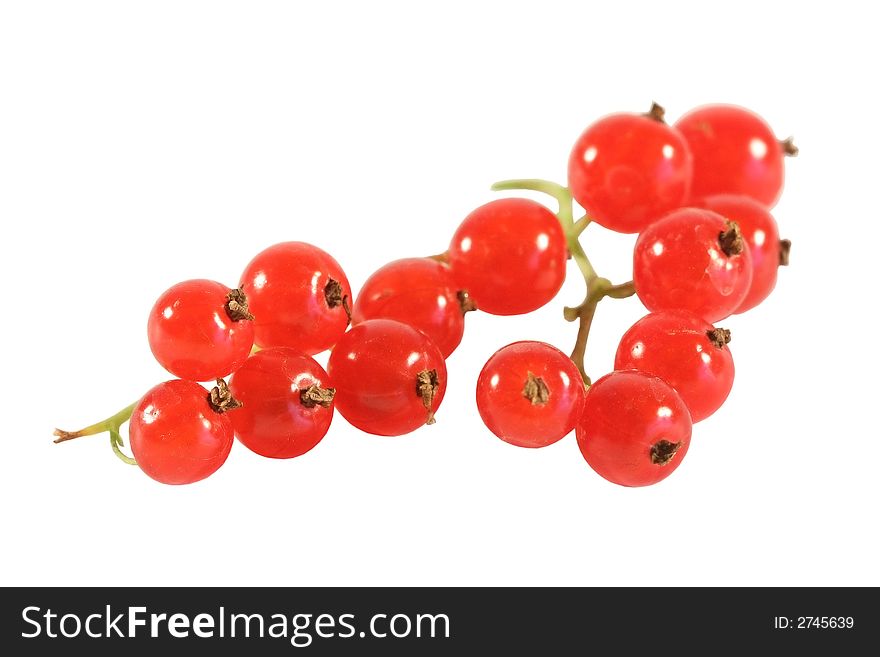 Berries of a red currant it is photographed on a white background close up.