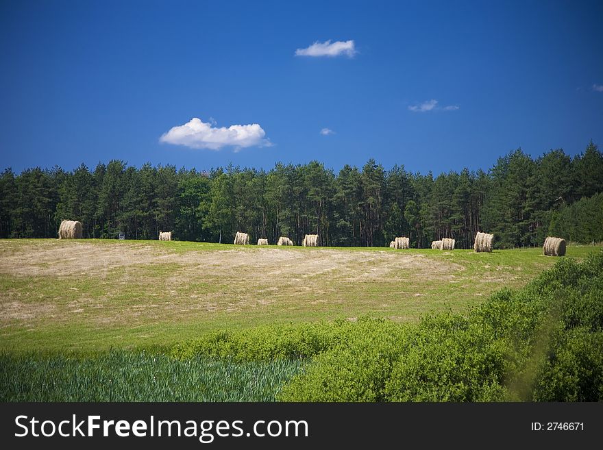 Landscape whit blue sky  and green hill in Poland. Landscape whit blue sky  and green hill in Poland