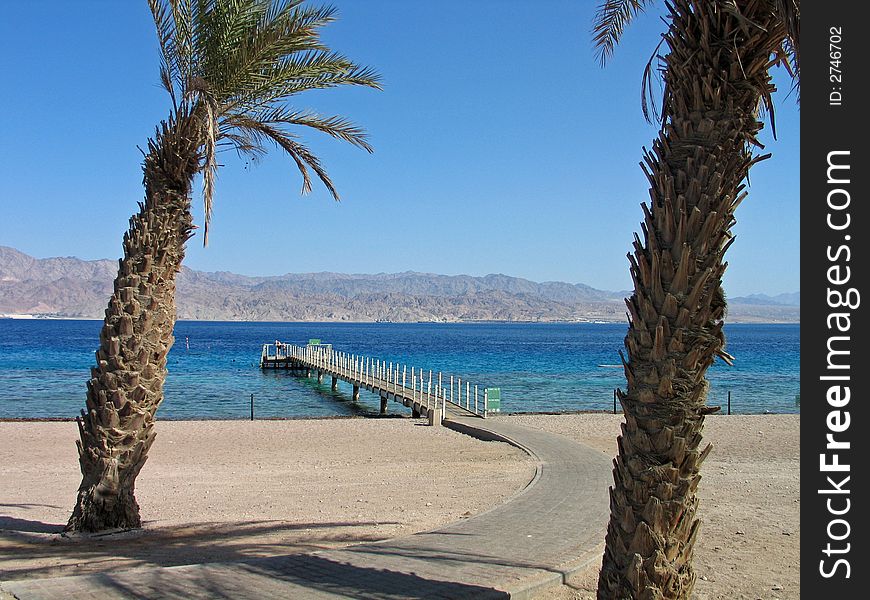 Tropical beach in the Red Sea