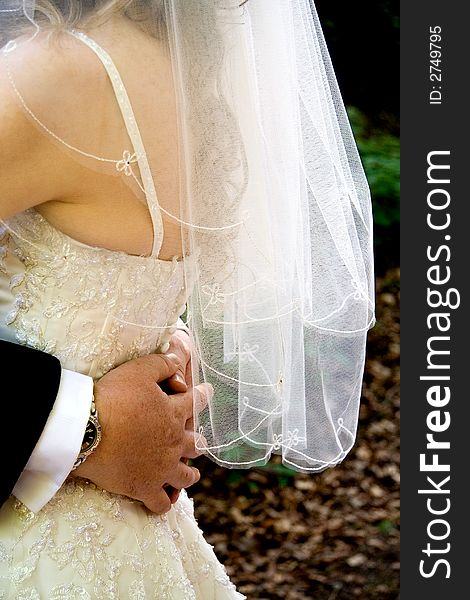 A detail shot of a bride's wedding dress. A detail shot of a bride's wedding dress