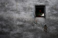 Window With A Flower On The Old Wall Royalty Free Stock Photos Window With A Flower On The Old Wall Royalty Free Stock Photos