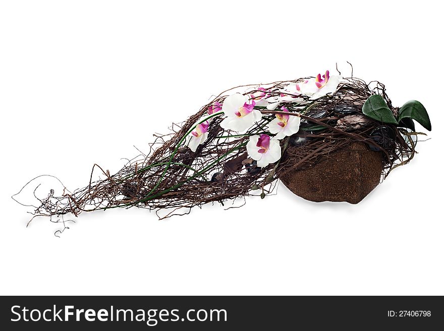 Abstract composition from coconut, orchid, rocks and vines isolated on white background