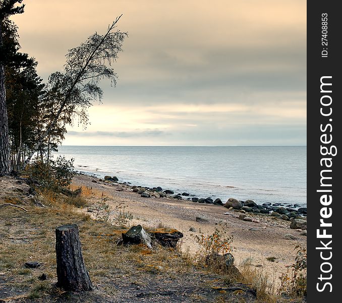 Nice stony beach at the gulf of Riga near village of Tuja, Latvia, Europe. Nice stony beach at the gulf of Riga near village of Tuja, Latvia, Europe