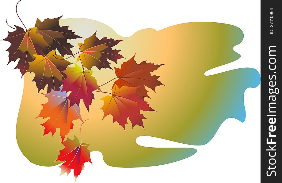 Vector Fall Leaves