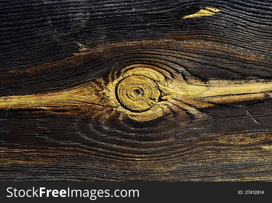 Close-up view of old cracked trunk cut showing growth rings. Close-up view of old cracked trunk cut showing growth rings