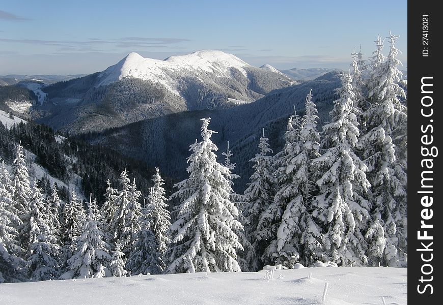 Winter scene in the mountains of Carpathians, Ukraine. Winter scene in the mountains of Carpathians, Ukraine