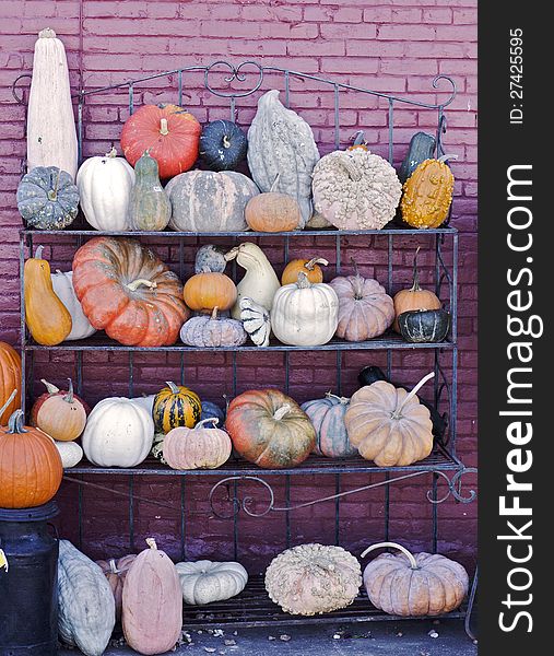 Pumpkins and squash displayed on a rack