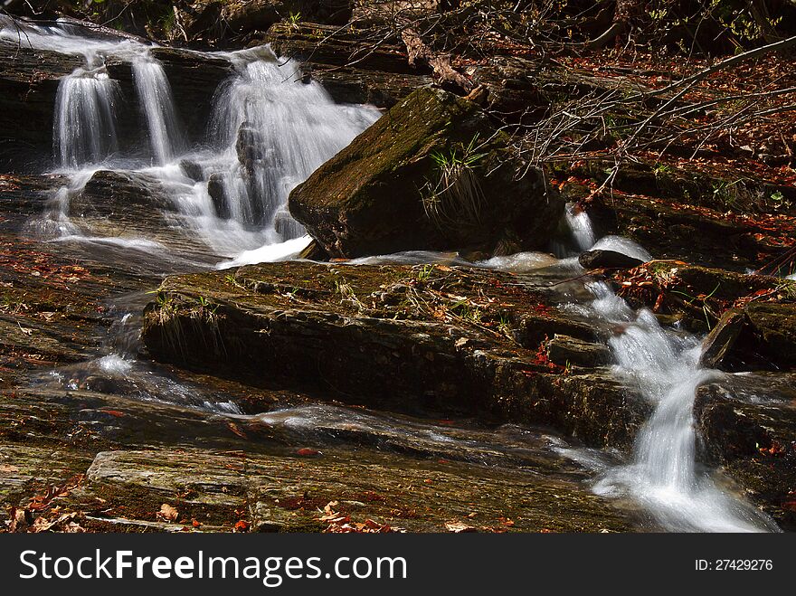 Beautiful forest stream with cascades.