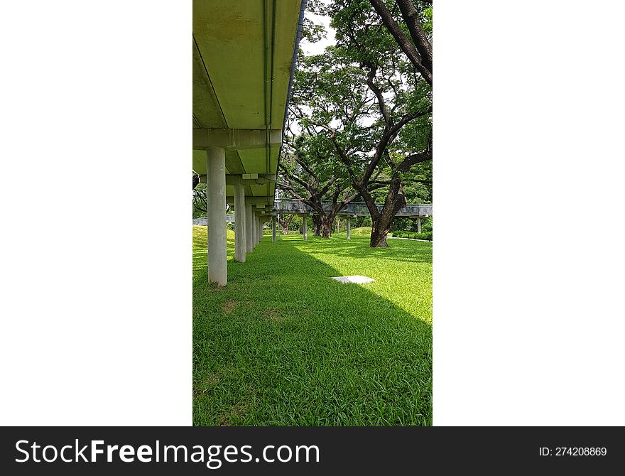 Footbridge Shadow On The Green Lawn & X28 Portrait Layout& X29