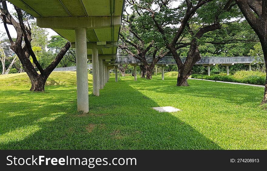 footbridge shadow on the green lawn & x28 landscape& x29