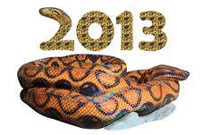 2013 Year Of The Snake &x28;include Clipping Paths&x29; Royalty Free Stock Photo 2013 Year Of The Snake &x28;include Clipping Paths&x29; Royalty Free Stock Photo