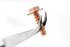 Copper Screw Stock Image