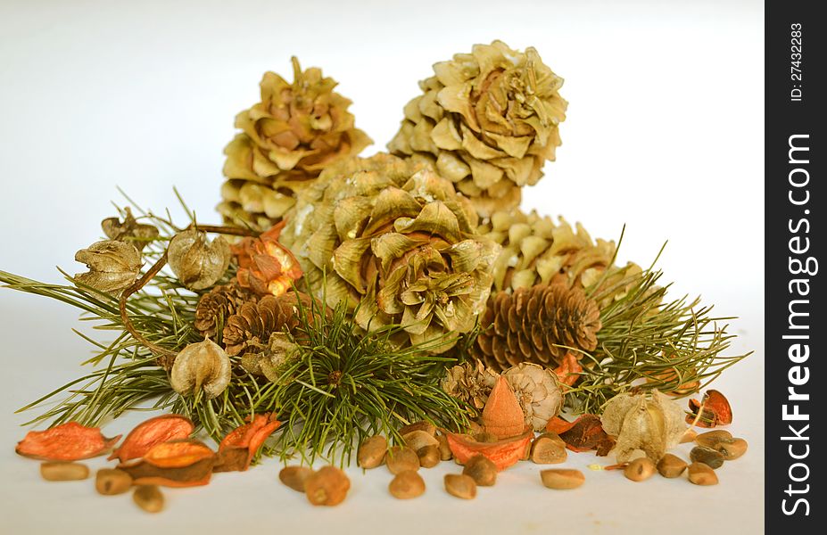 Cedar cones, died leaves and needles on the white background. Cedar cones, died leaves and needles on the white background