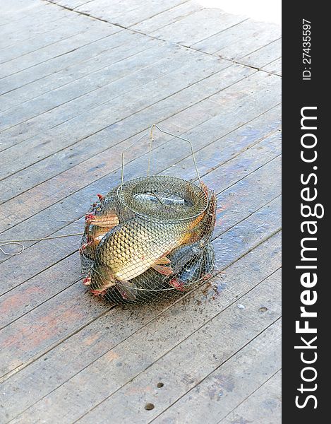 Fish catch in the net on the wooden background. Fish catch in the net on the wooden background