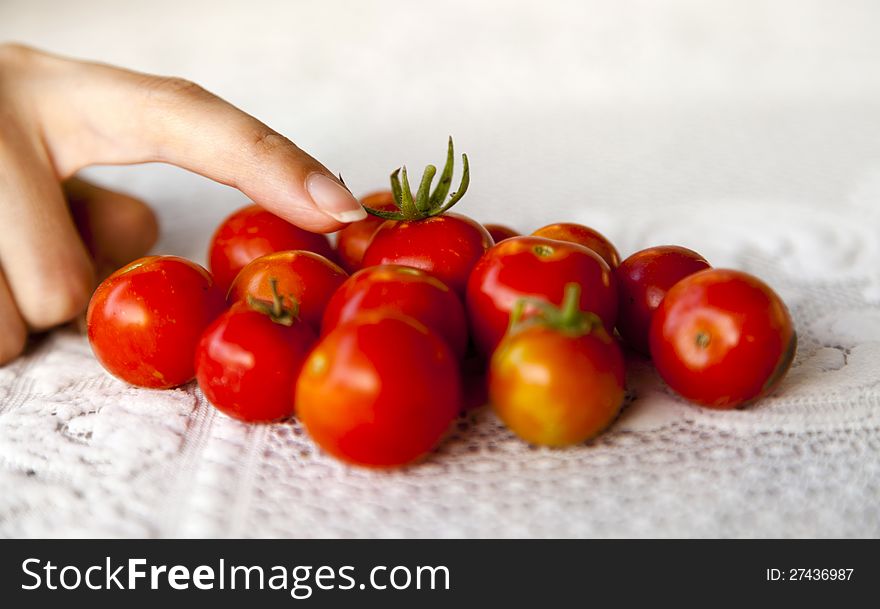 Human finger showing freshly collected tomatoes. Human finger showing freshly collected tomatoes