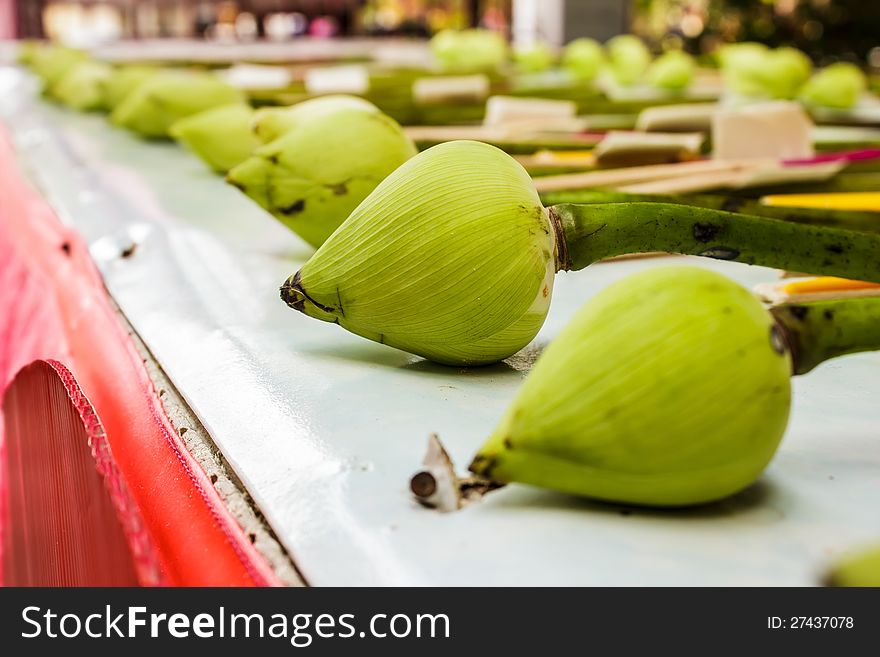 Lotus Buds with green color for Buddha