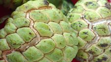 Close Up Of Sugar Apple Custard Apple Royalty Free Stock Images Close Up Of Sugar Apple Custard Apple Royalty Free Stock Images