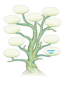 Roadmap Tree Royalty Free Stock Photo Roadmap Tree Royalty Free Stock Photo