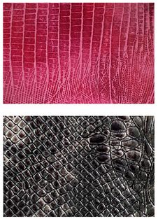 Pattern Snake Skin Leather Stock Photos Pattern Snake Skin Leather Stock Photos
