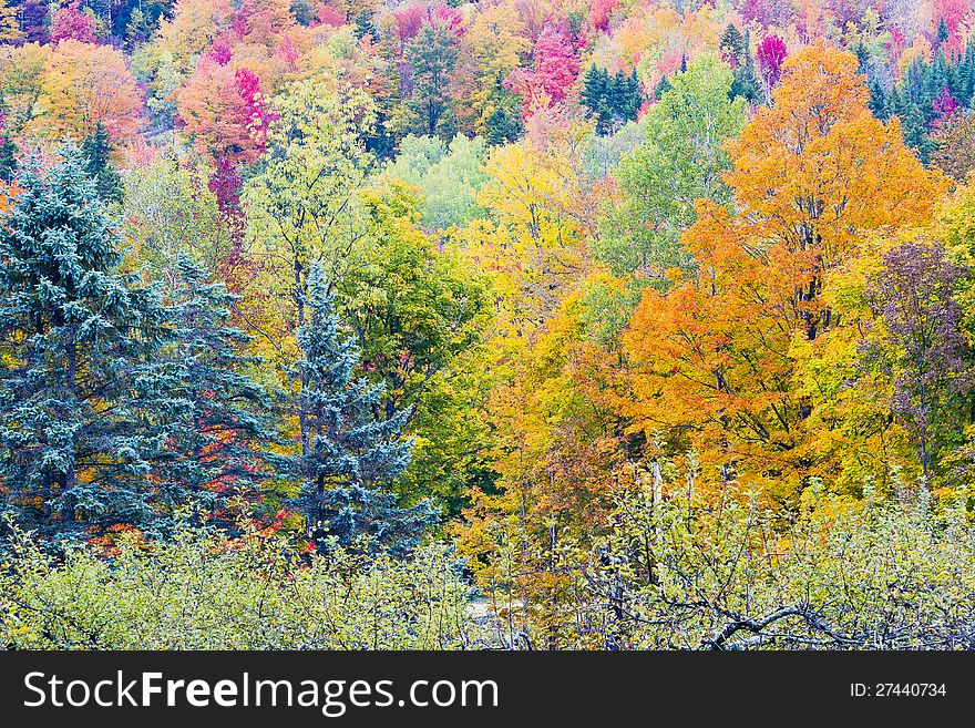 Multiple fall foliage colors on the mountains.