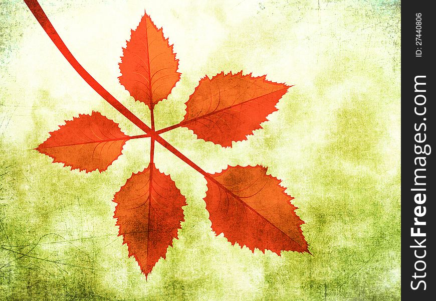 Branch of bright red autumn leaves on grunge background. Branch of bright red autumn leaves on grunge background.