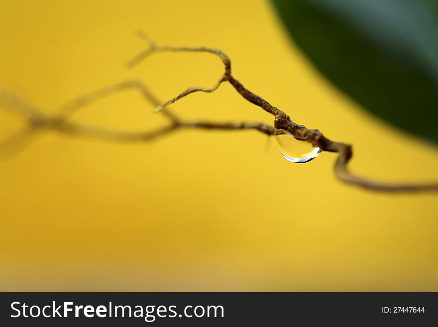 Water Drop, Autumn Mood