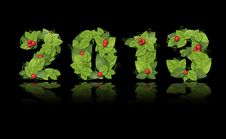 New Year 2013. Date Lined Green Leaves Stock Images