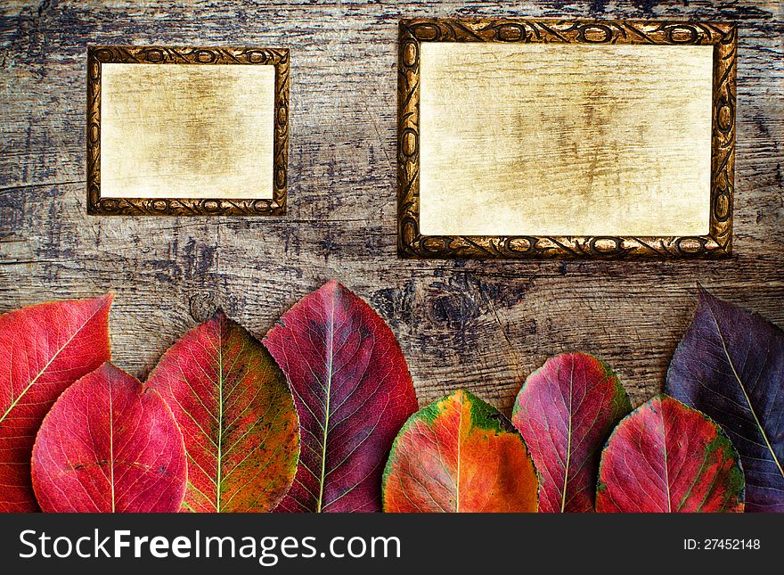 Autumn leaves on a wooden background with copy space and frames. Autumn leaves on a wooden background with copy space and frames