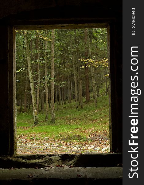 Stone window with a view of the deciduous forest