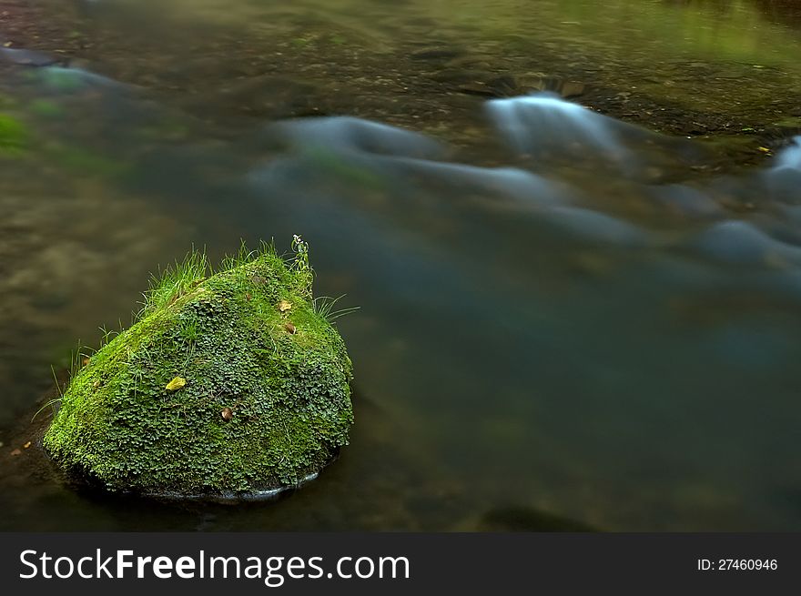 Stone in water covered with grass and moss