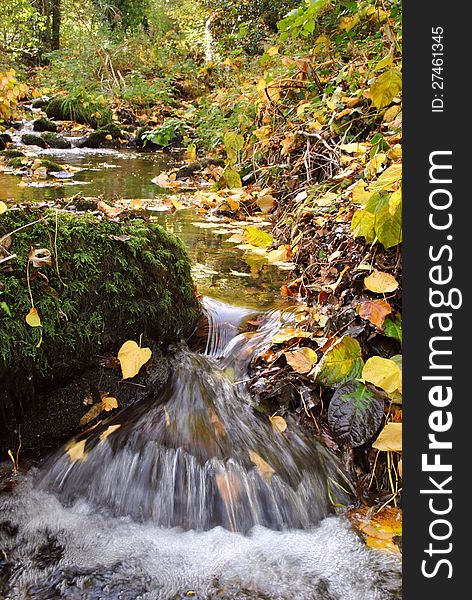 A small stream with Autumn color. A small stream with Autumn color