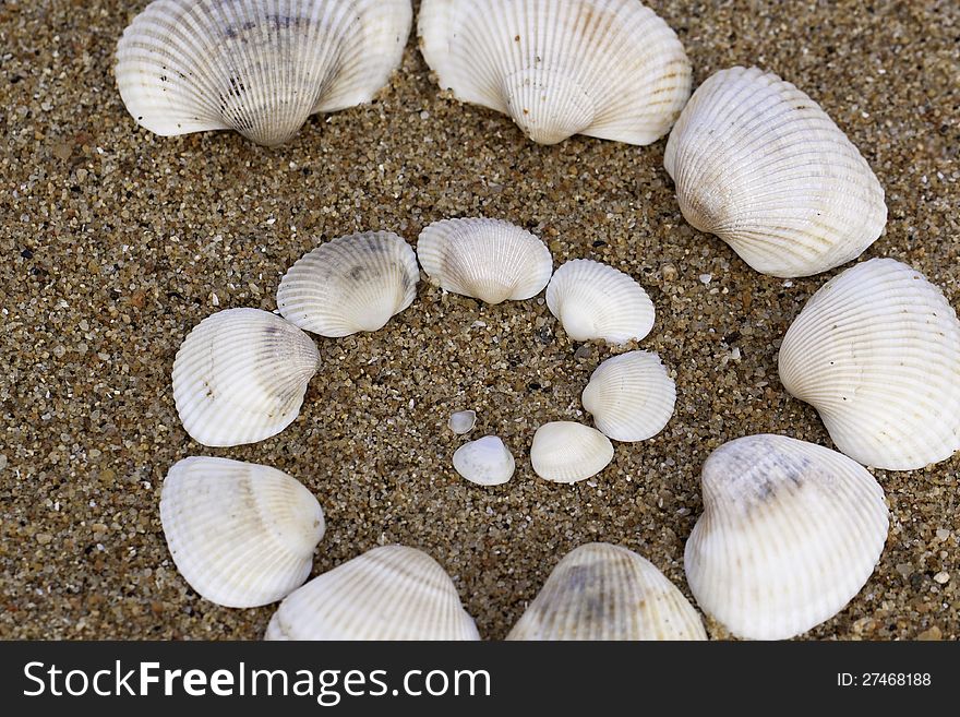 A spiral made of shells.