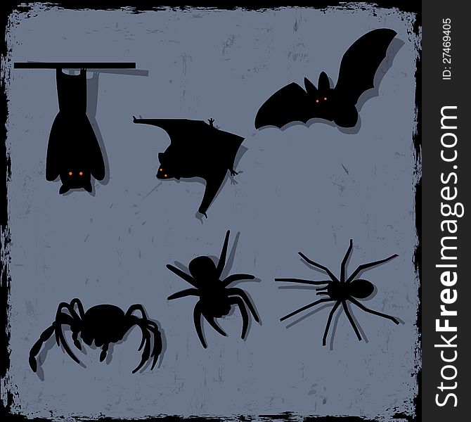 Spiders and bats