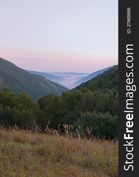 Mountain valley in the fog. Vertical.