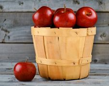Freshly Picked Apples Stock Photos Freshly Picked Apples Stock Photos