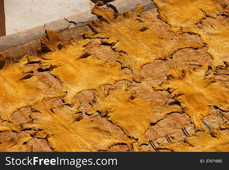 Freshly colored animal leathers are drying on sun in Fez Tannery, Morocco