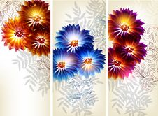 Collection Of Flower Vector Backgrounds Royalty Free Stock Image