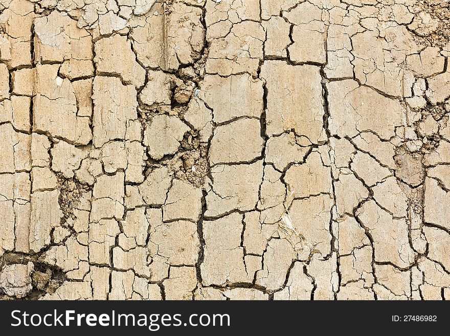 Detail close up of cracked soil showing dry conditions