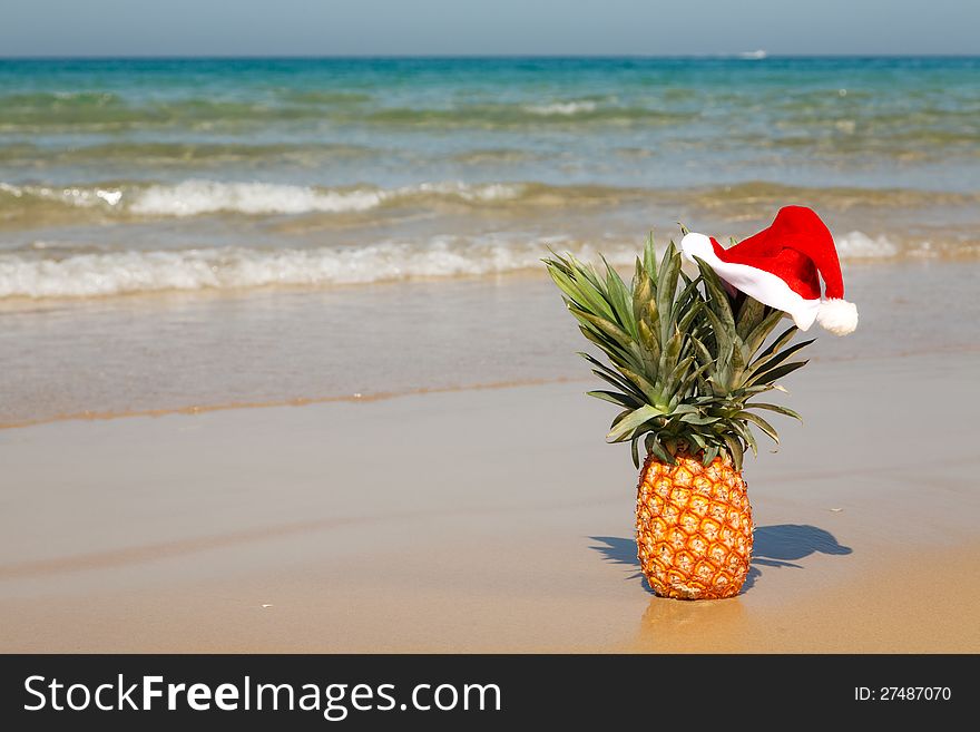 A whole pineapple at santa hat on a sea background . A whole pineapple at santa hat on a sea background .