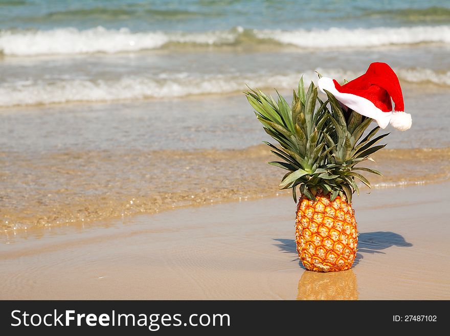 A whole pineapple at santa hat on a sea background . A whole pineapple at santa hat on a sea background .