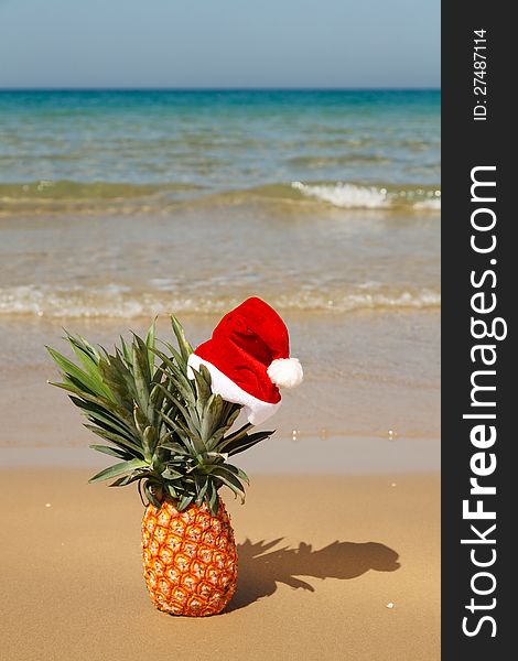 A whole pineapple at santa hat on a sea background . A whole pineapple at santa hat on a sea background .