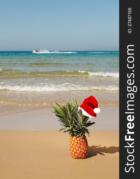 A whole pineapple at santa hat on a sea background . A whole pineapple at santa hat on a sea background .