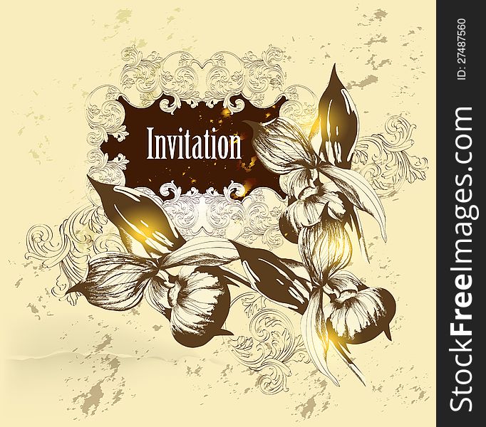 Vintage vector
Vintage vector  invitation card